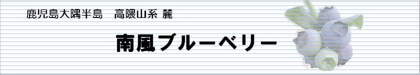 �앗�u���[�x���[