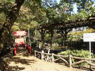 須藤公園、木々が少し紅葉しています(東京都文京区千駄木3丁目)