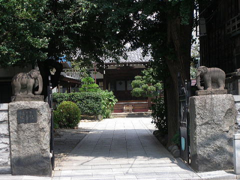大観音通りにある瑞泰寺、門の上で2匹の象が向き合っています(東京都文京区向丘2丁目)