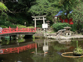 夏、蝉しぐれの須藤公園です(東京都文京区千駄木3丁目 坂井美里)