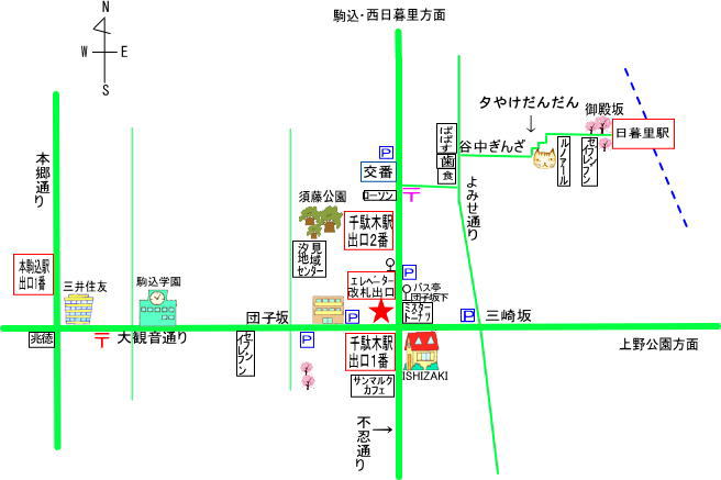 坂井美里 税理士 東京都 文京区 千駄木