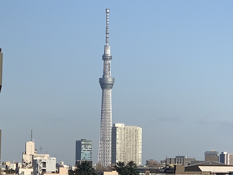 坂井美里 税理士 事務所 東京都 文京区 千駄木