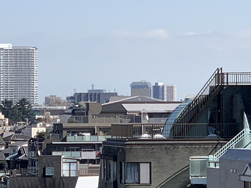 坂井美里 税理士 事務所 東京都 文京区 千駄木