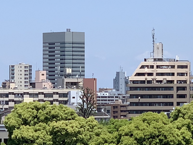 坂井美里 税理士 事務所 東京都 文京区 千駄木