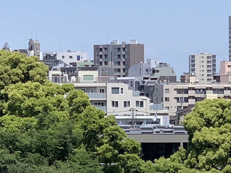 坂井美里 税理士 事務所 東京都 文京区 千駄木