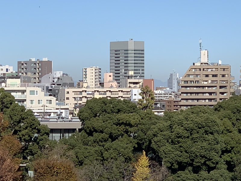 坂井美里 税理士 事務所 東京都 文京区 千駄木