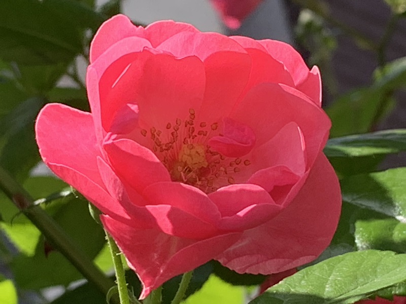 image3019
