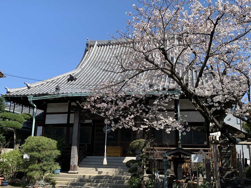 坂井美里 税理士 事務所 東京都 文京区 千駄木