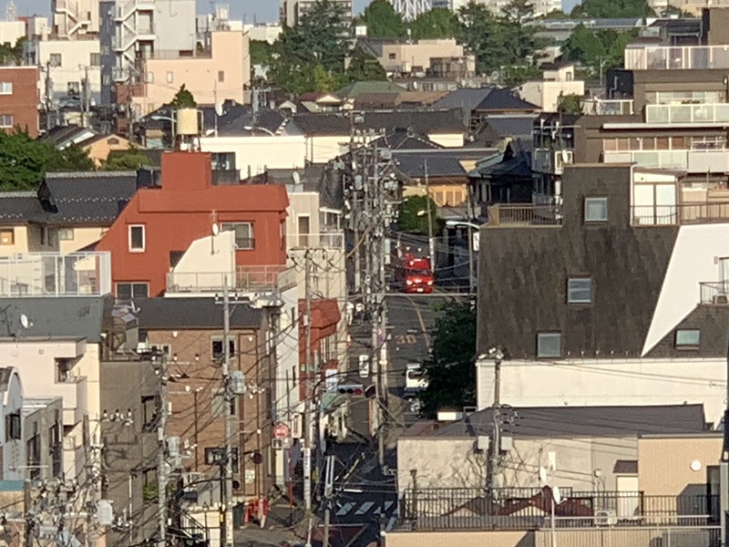 坂井美里 税理士 事務所 東京都 文京区 千駄木
