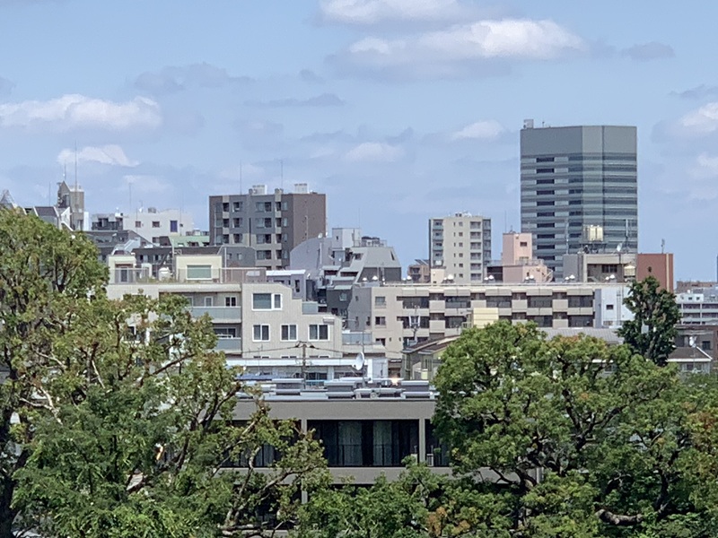 坂井美里 税理士 事務所 東京都 文京区 千駄木