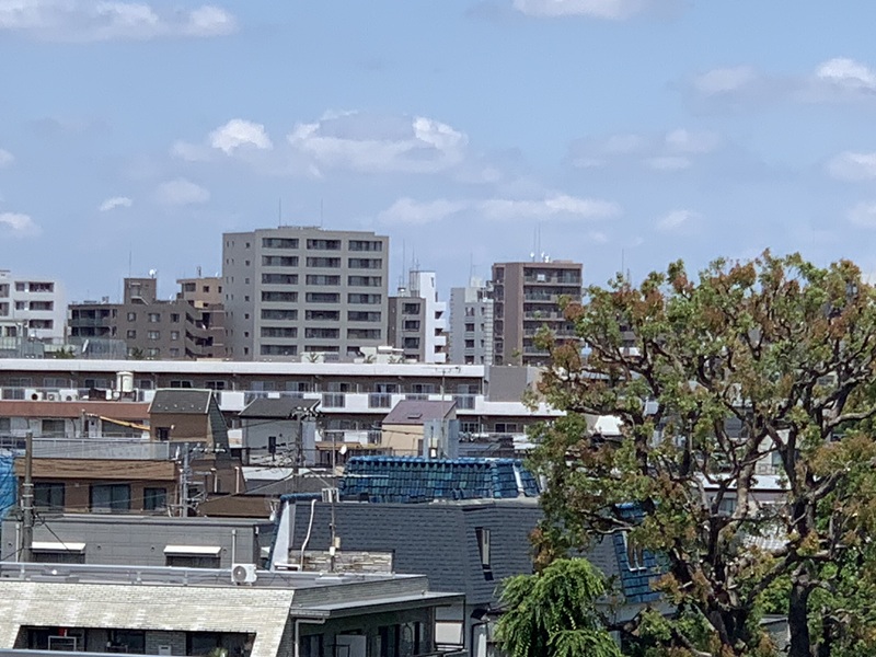 坂井美里 税理士 事務所 東京都 文京区 千駄木