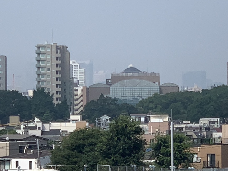 坂井美里 税理士 事務所 東京都 文京区 千駄木