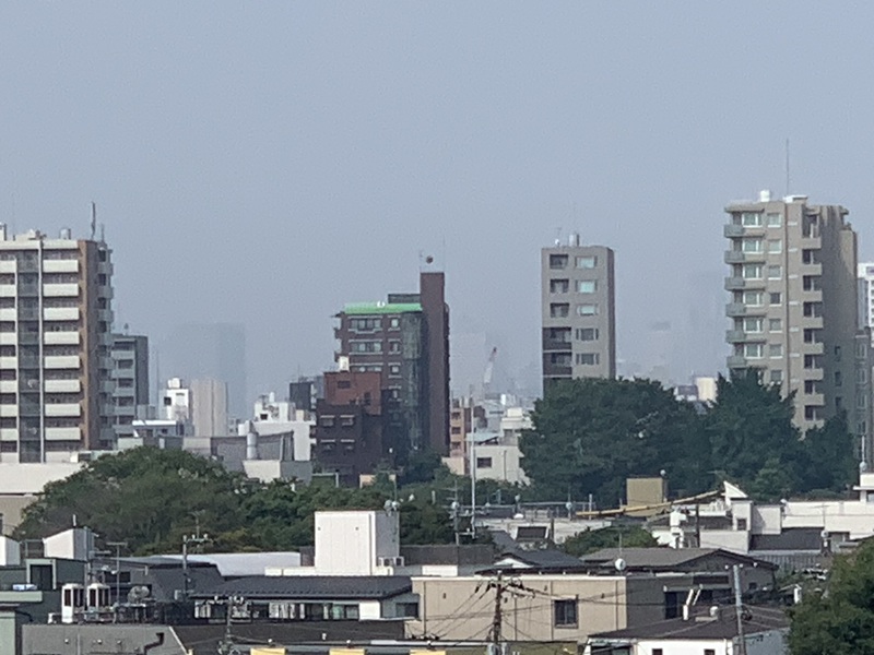 坂井美里 税理士 事務所 東京都 文京区 千駄木