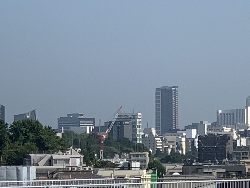 坂井美里 税理士 事務所 東京都 文京区 千駄木