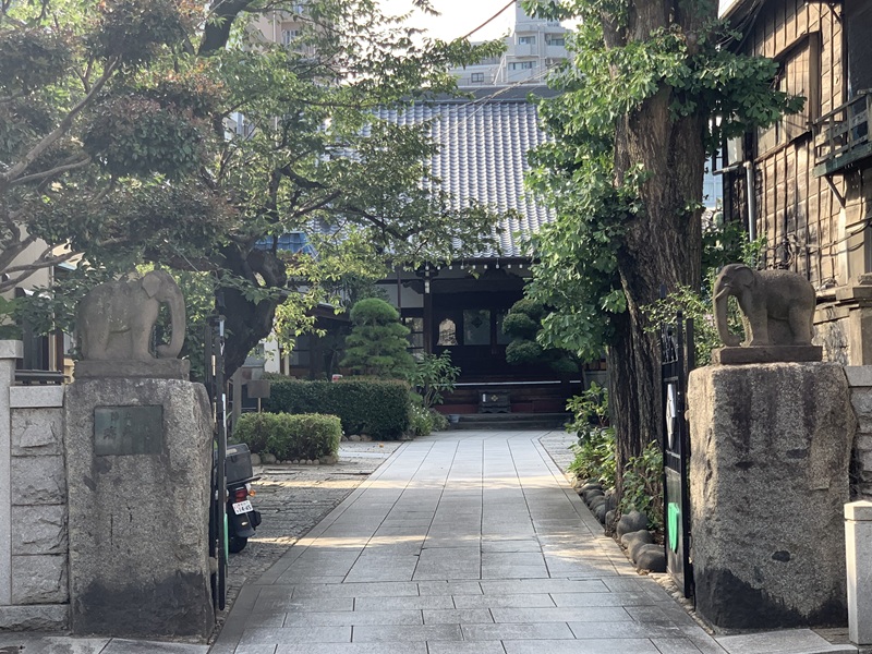 坂井美里 税理士 事務所 東京都 文京区 千駄木