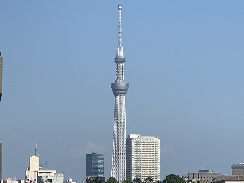 坂井美里 税理士 事務所 東京都 文京区 千駄木