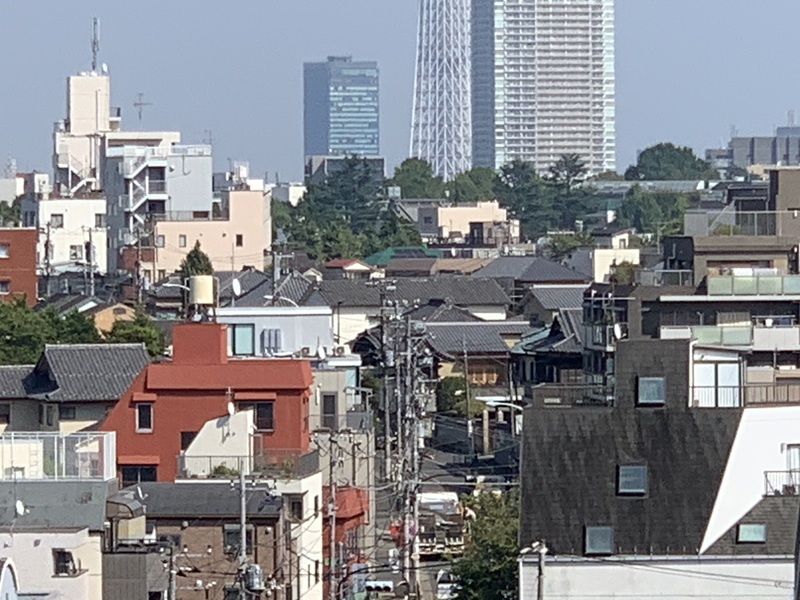 坂井美里 税理士 事務所 東京都 文京区 千駄木