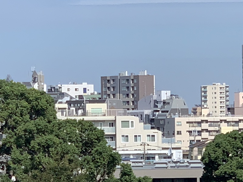 坂井美里 税理士 事務所 東京都 文京区 千駄木