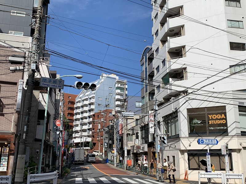 坂井美里 税理士 事務所 東京都 文京区 千駄木