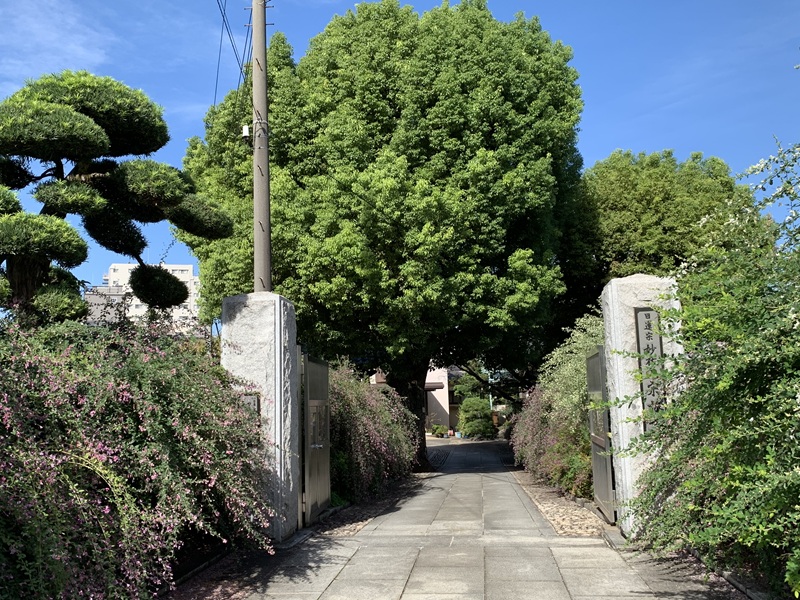 坂井美里 税理士 事務所 東京都 文京区 千駄木