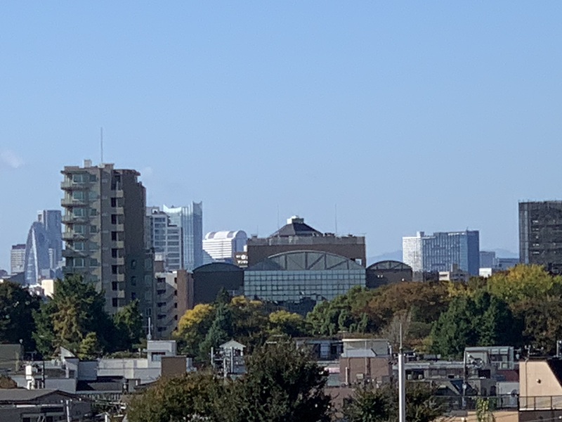 坂井美里 税理士 事務所 東京都 文京区 千駄木