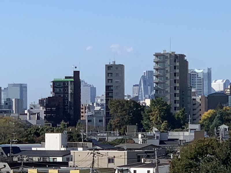 坂井美里 税理士 事務所 東京都 文京区 千駄木