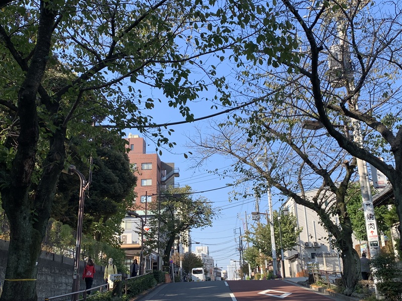 坂井美里 税理士 事務所 東京都 文京区 千駄木