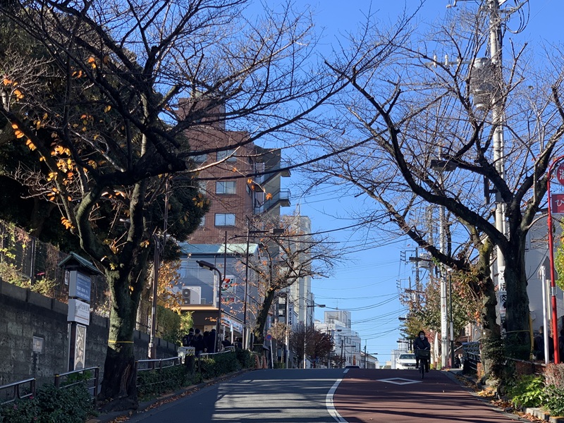 坂井美里 税理士 事務所 東京都 文京区 千駄木