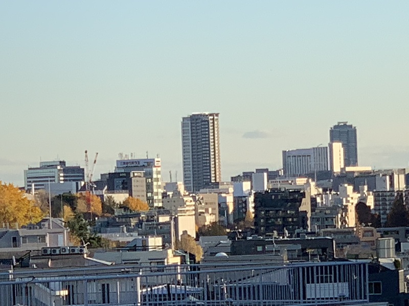 坂井美里 税理士 事務所 東京都 文京区 千駄木