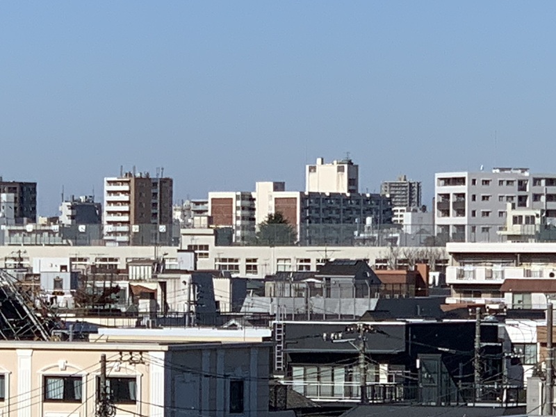 坂井美里 税理士 事務所 東京都 文京区 千駄木