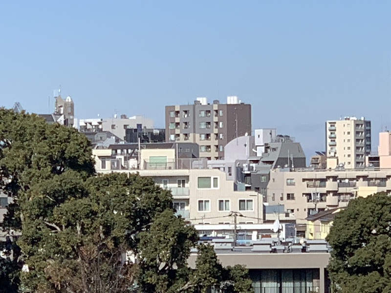 坂井美里 税理士 事務所 東京都 文京区 千駄木