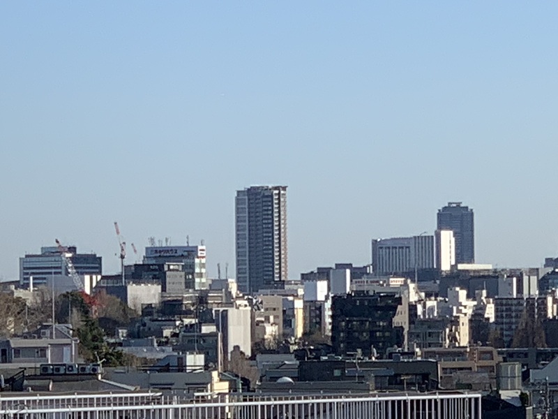 坂井美里 税理士 事務所 東京都 文京区 千駄木