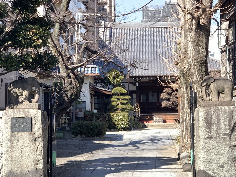 坂井美里 税理士 事務所 東京都 文京区 千駄木