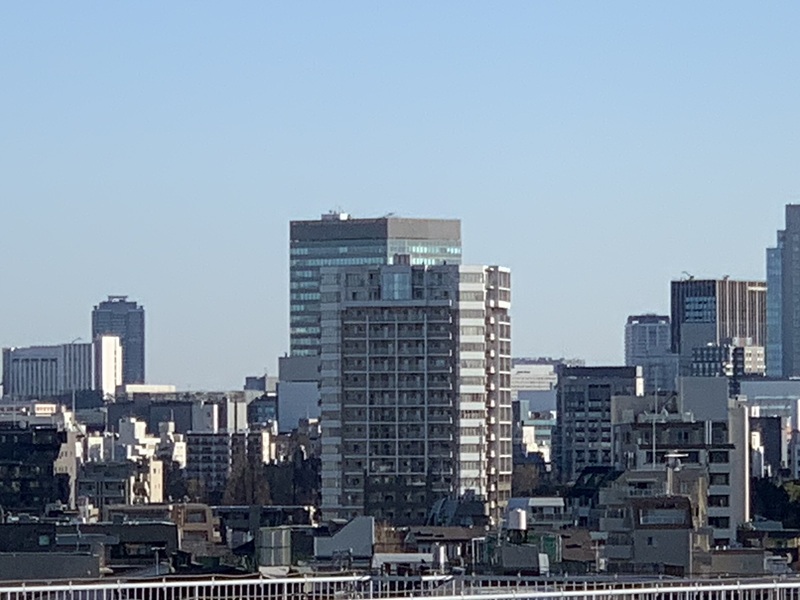 坂井美里 税理士 事務所 東京都 文京区 千駄木