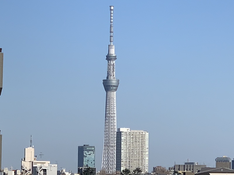 坂井美里 税理士 事務所 東京都 文京区 千駄木