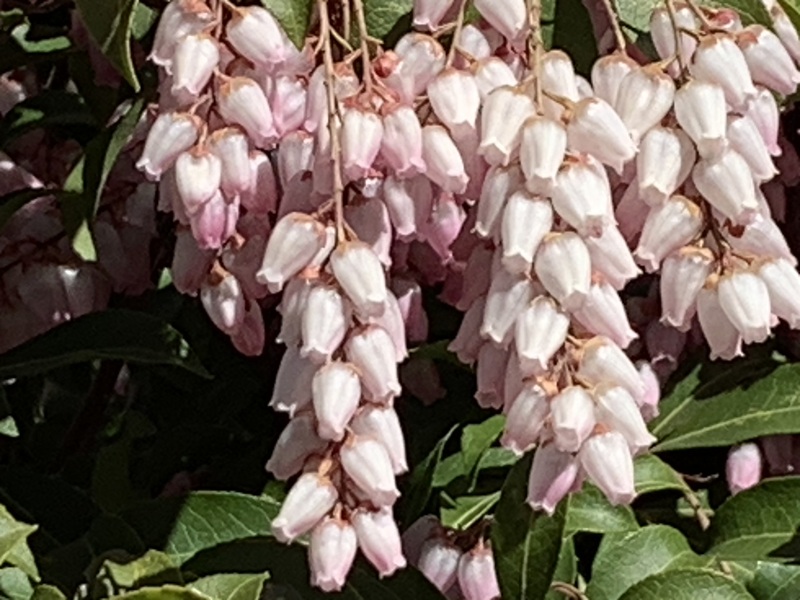 坂井美里 税理士 ｊ事務所 東京都 文京区 千駄木