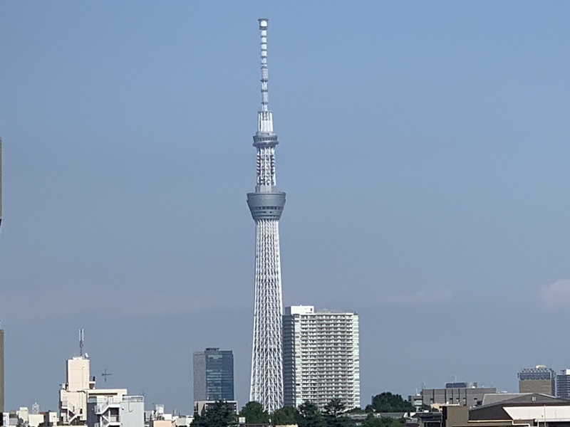 坂井美里 税理士 事務所 東京都 文京区 千駄木