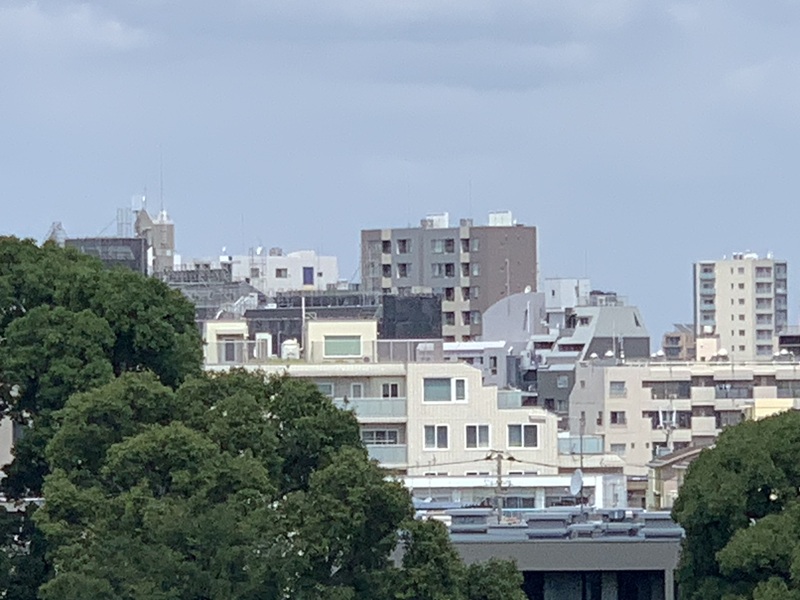 坂井美里 税理士 事務所 東京都 文京区 千駄木