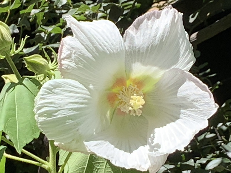 坂井美里 税理士 事務所 東京都 文京区 千駄木